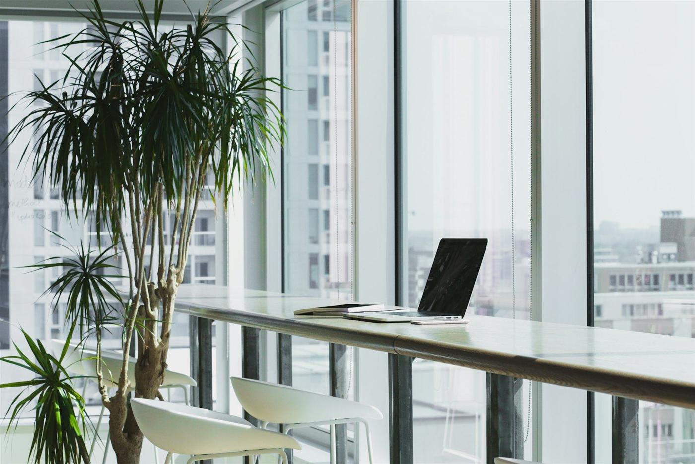Ufficio luminoso con postazione di lavoro e piante